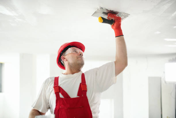 Best Residential Painting  in Orcdlands Estates, HI